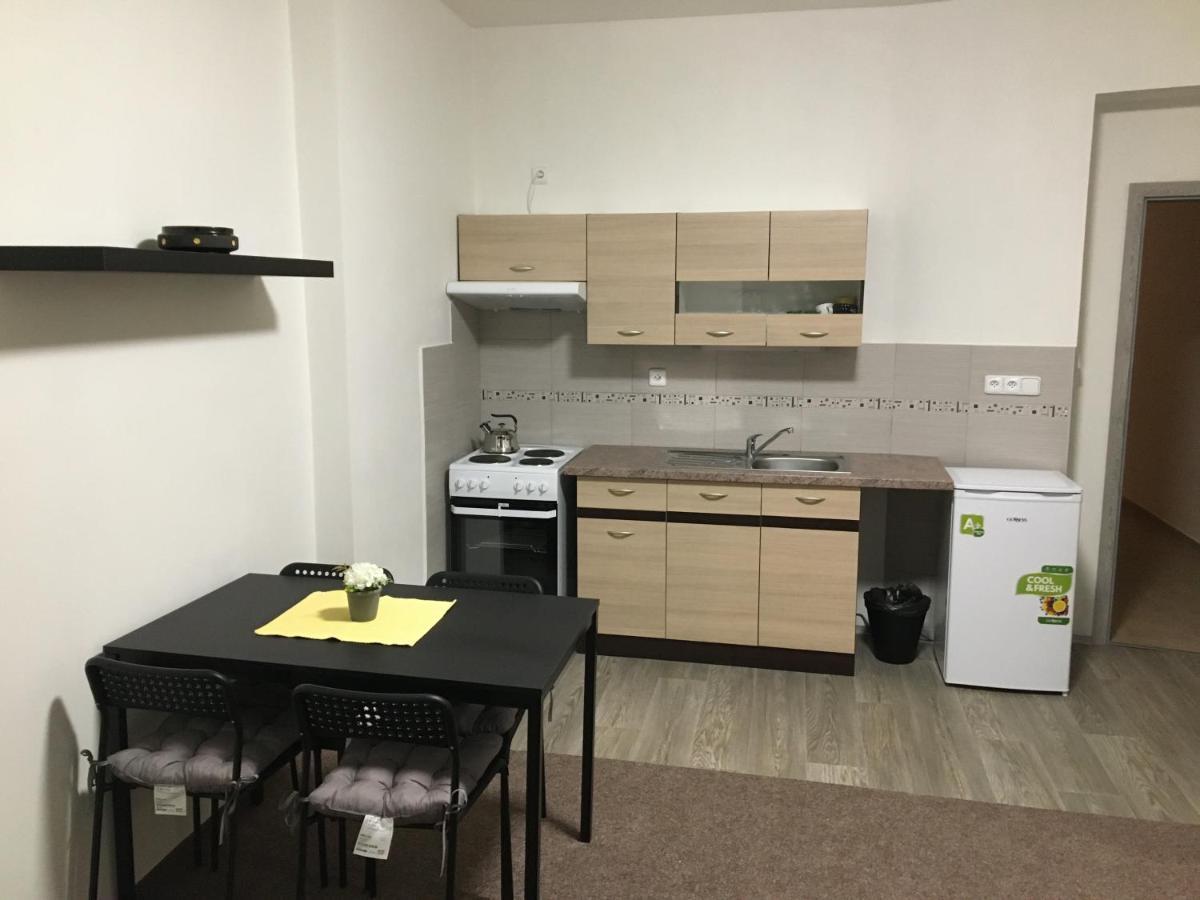 Apartmany U Muzea Decin Bagian luar foto