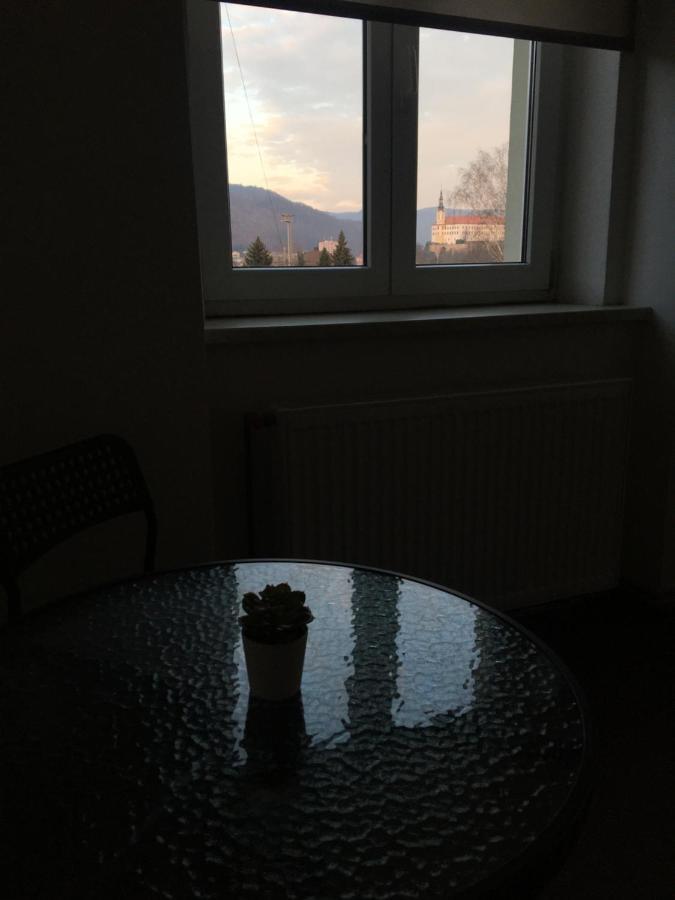Apartmany U Muzea Decin Bagian luar foto