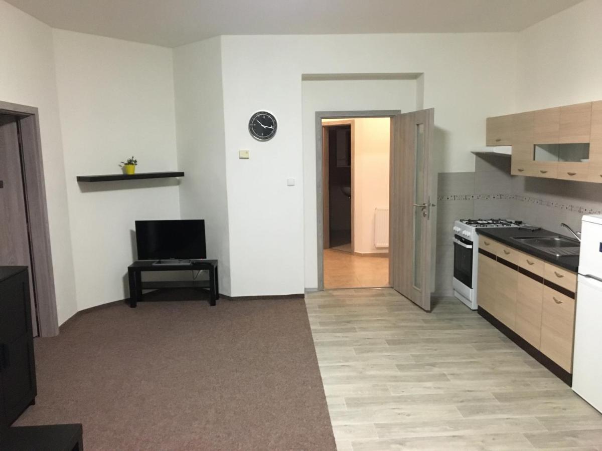 Apartmany U Muzea Decin Bagian luar foto