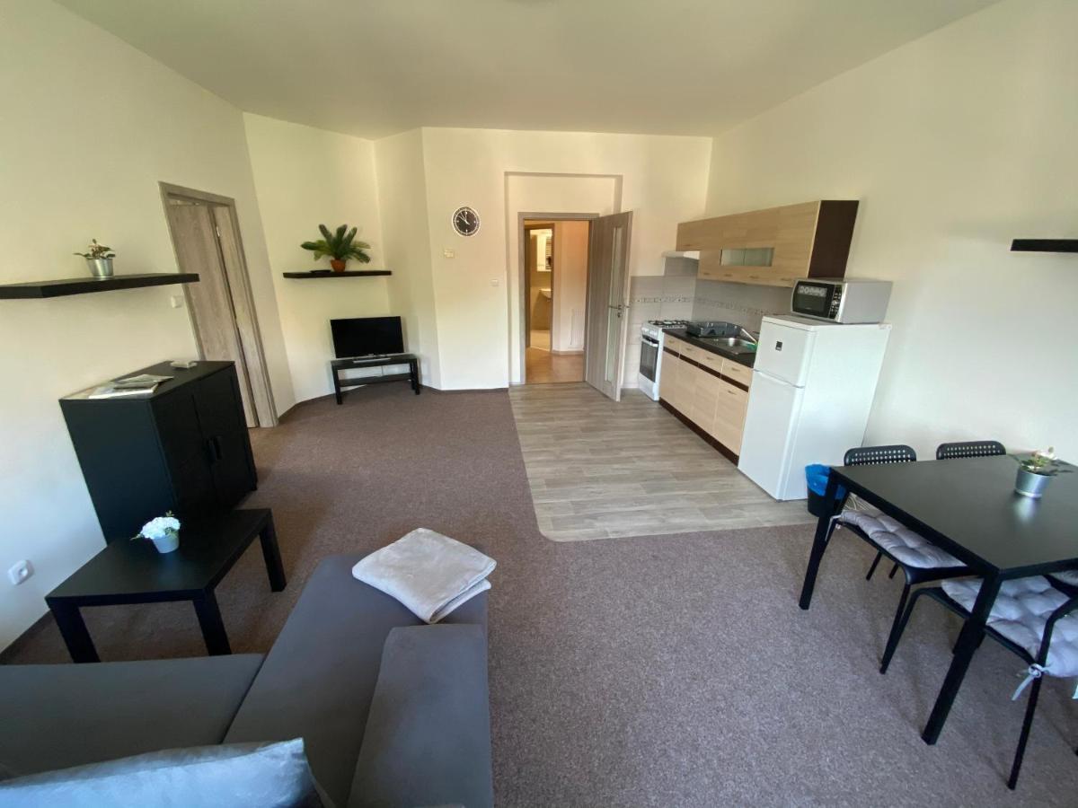 Apartmany U Muzea Decin Bagian luar foto
